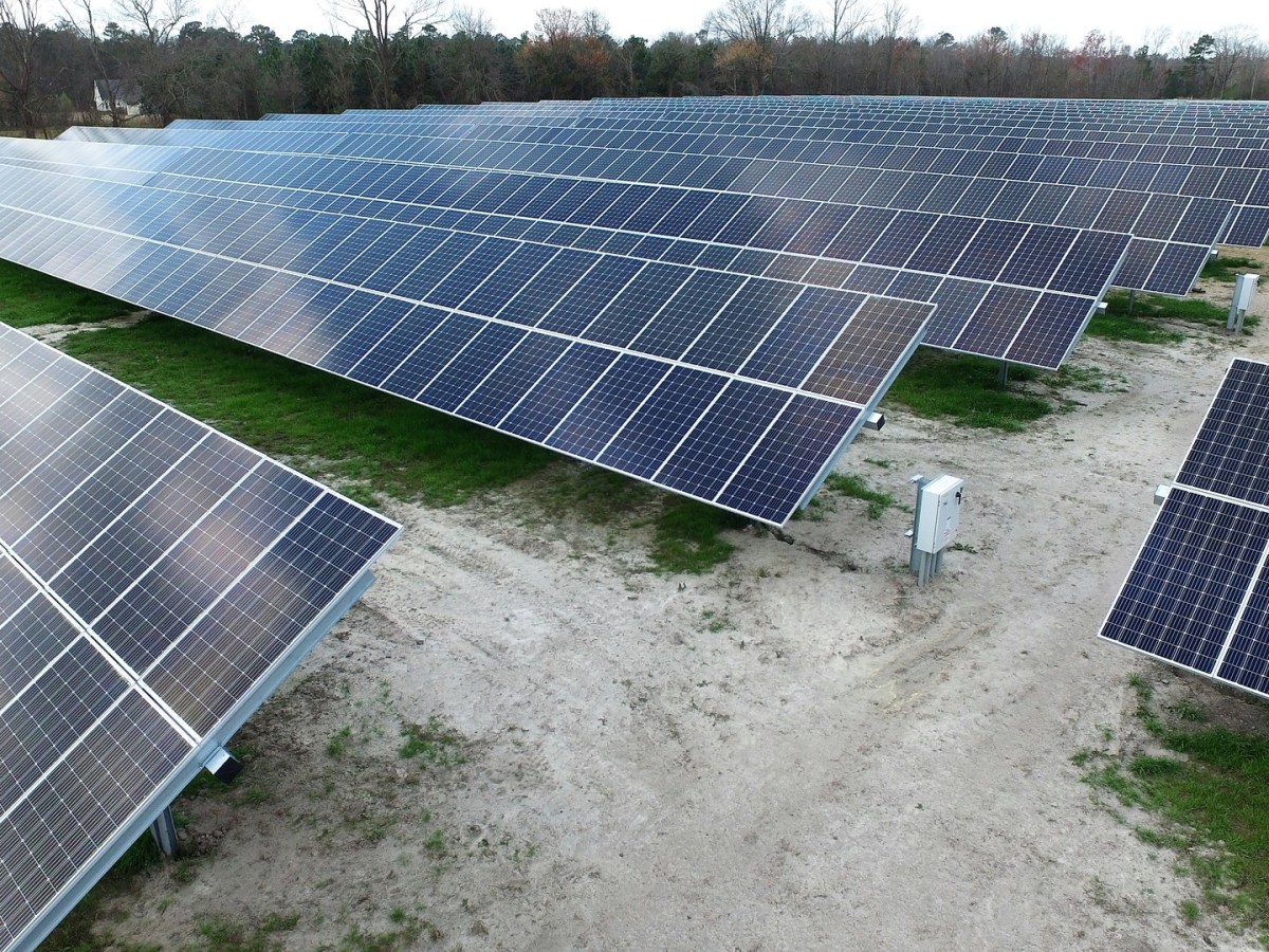 Solar panels with trees in the background.