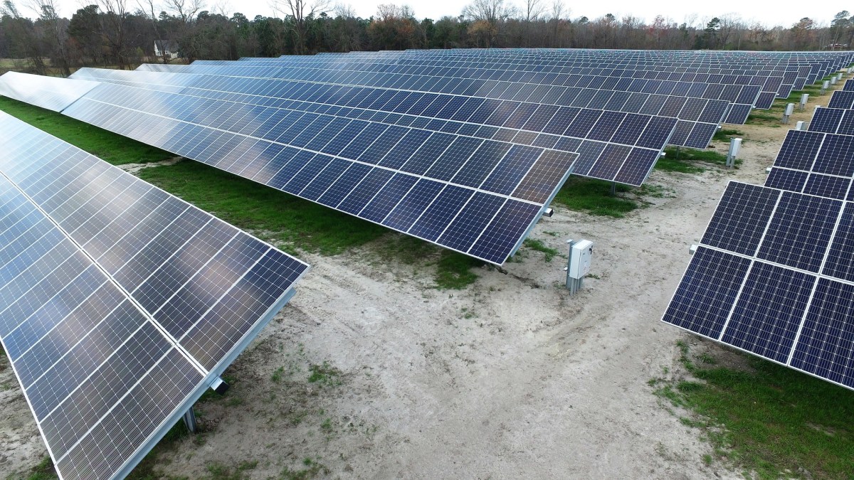 Solar panels with trees in the background.