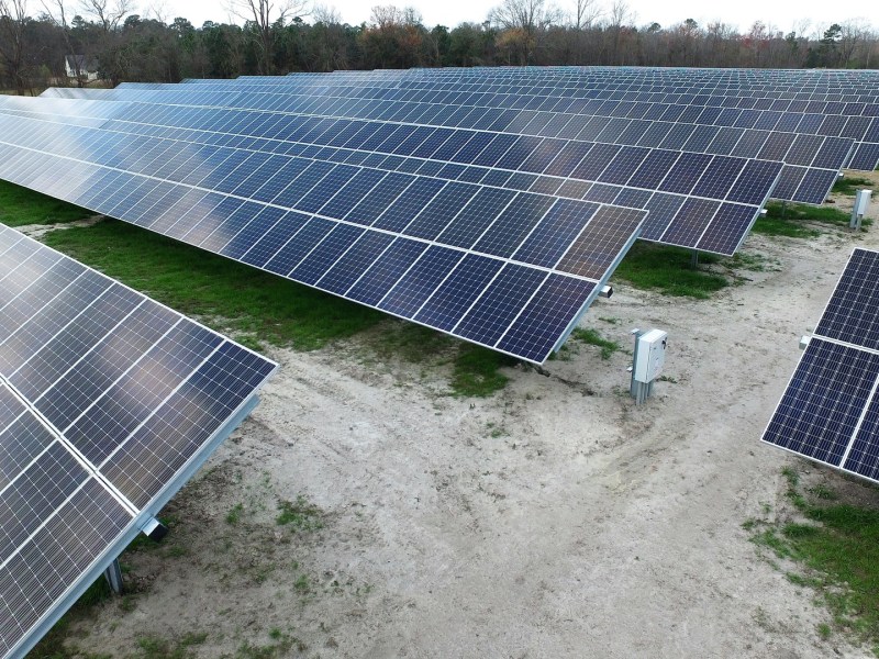 Solar panels with trees in the background.