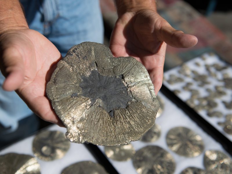 A miner shows a piece of marcasite mineral (iron sulfide) also called "fool's gold" that naturally occurs within coal formations at the Peabody Coal mine.