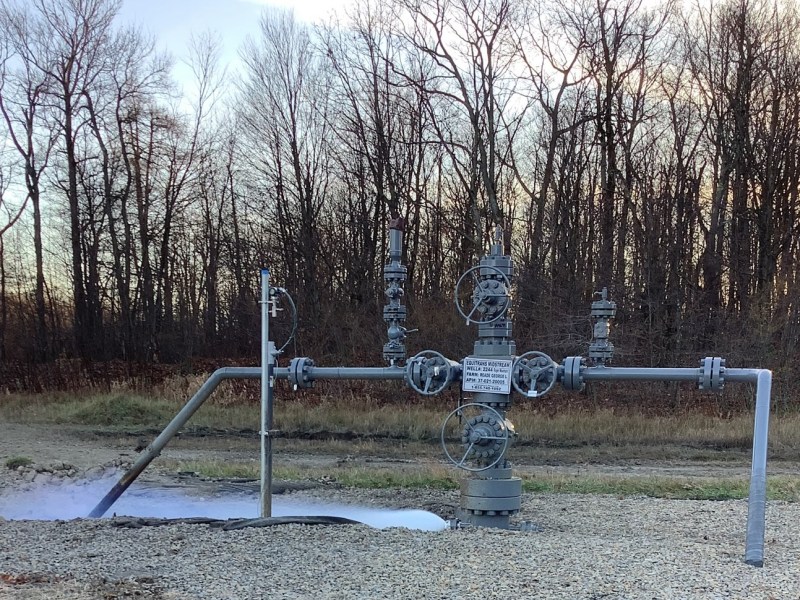 A pipeline runs above the ground with trees in the background.