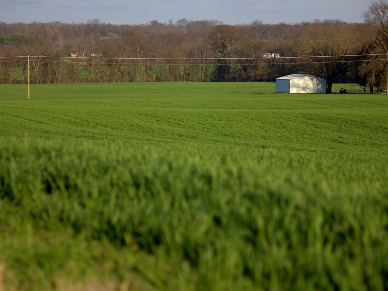 Grassy Illinois farmland.