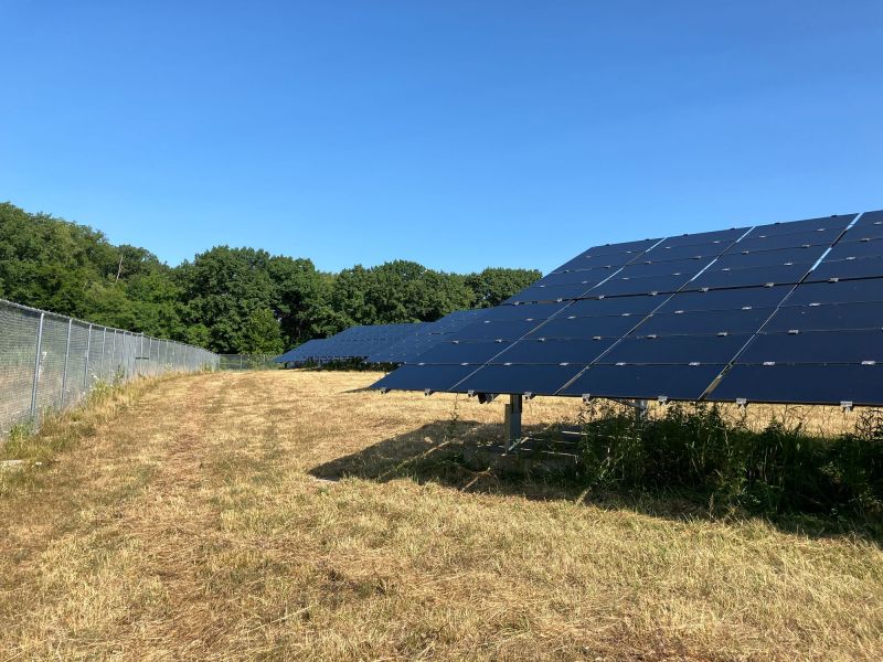 Solar panels atop a grassy former landfill site with trees in the background