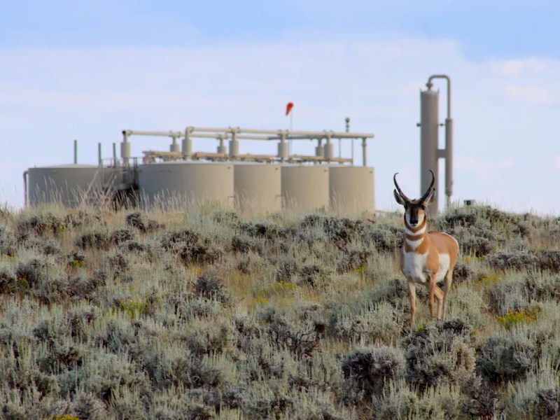 Wyoming bans conservation bidders from oil and gas lease sales