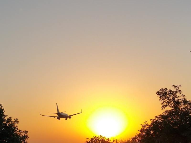 An airplane flies above the treetops toward a bright yellow sun.