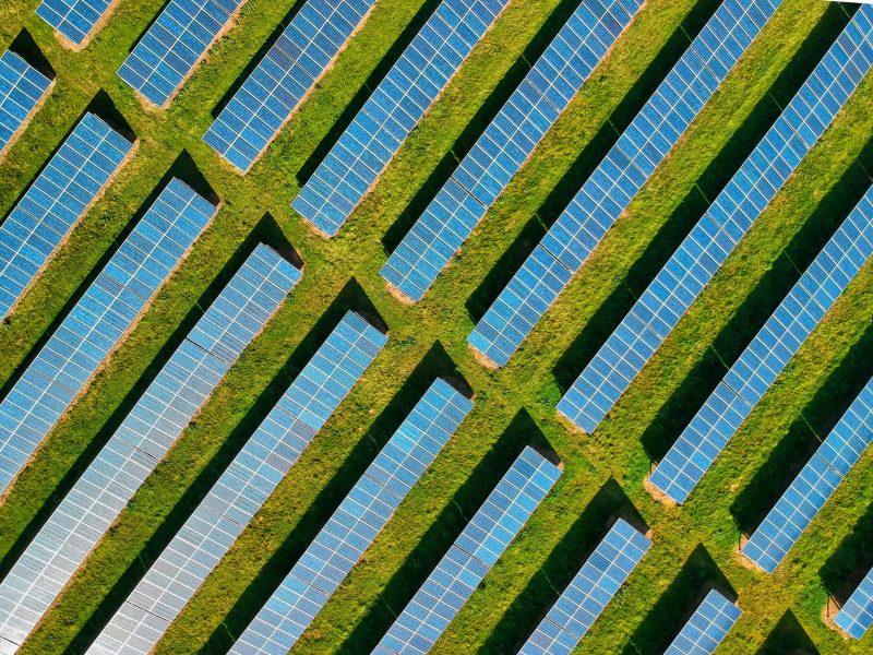 Bird's eye view of a field of solar panels